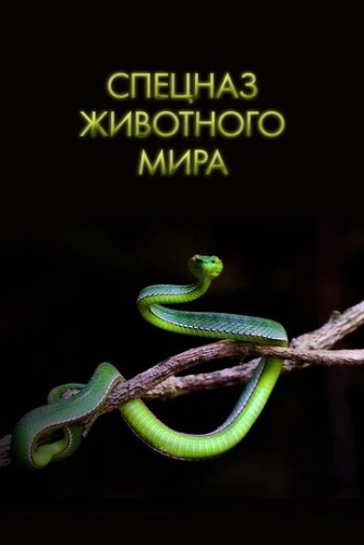 Спецназ животного мира (2018) онлайн