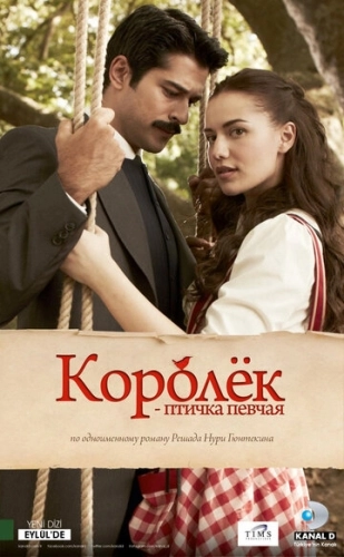 Королёк - птичка певчая (2013) смотреть онлайн